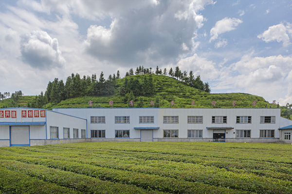 湖南瀟湘茶業有限公司